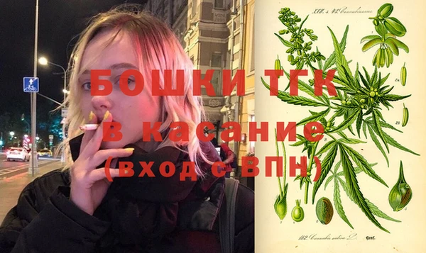 метадон Касимов