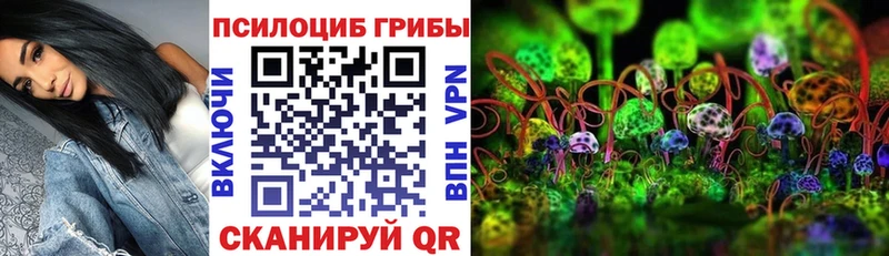 Купить  Нарьян-Мар  Псилоцибиновые грибы мицелий 